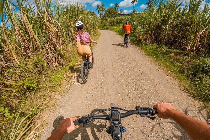 Guided E-bike Tour - Who Would Love This Tour?