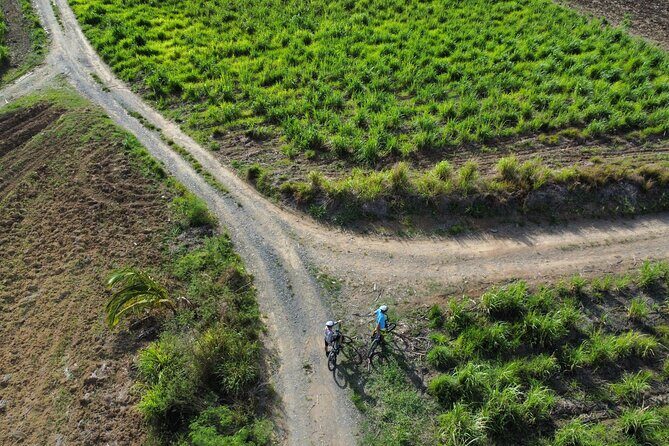 Guided E-bike Tour - Authentic Reviews and Perspectives