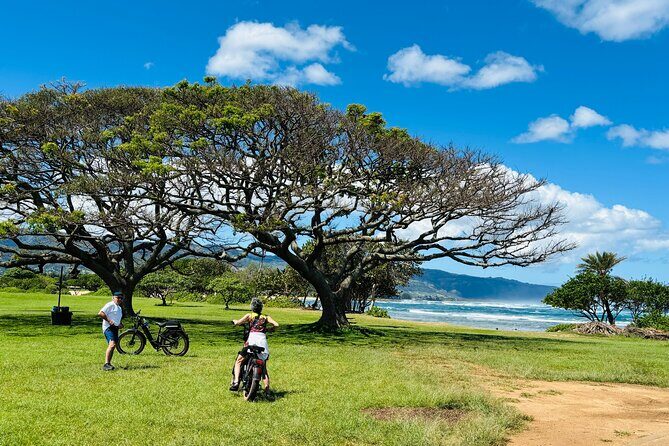 Guided E-Bike Tour in North Shore - Exploring the North Shore on an E-Bike: A Friendly Deep Dive