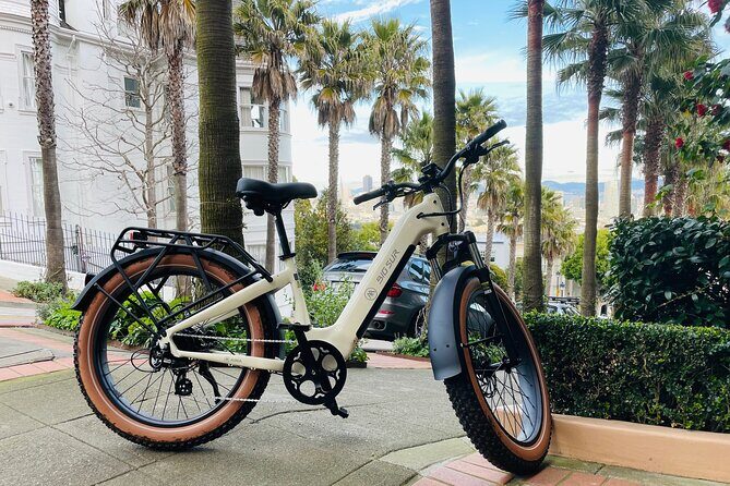 Guided E Bike Tour in San Francisco - Introduction