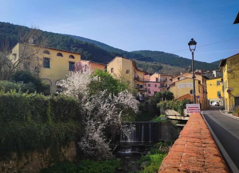 Guided E-Bike Tour in the Province of Pisa: The Villages of Buti and Vicopisano - An Honest Look at the Tour Experience