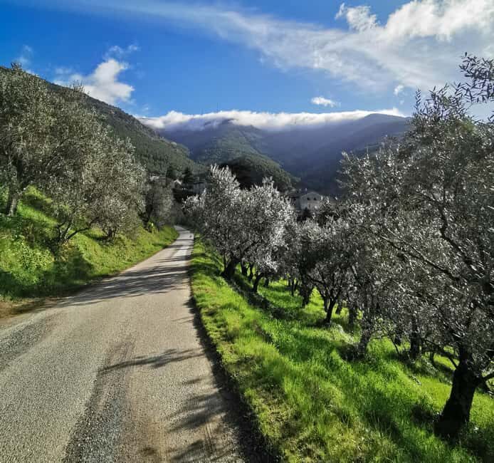 Guided E-Bike Tour in the Province of Pisa: The Villages of Buti and Vicopisano - What the Tour Includes and Why It Matters
