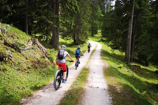 Guided e-bike tour of the alpine pastures in the Salzkammergut - An Overview of the Experience