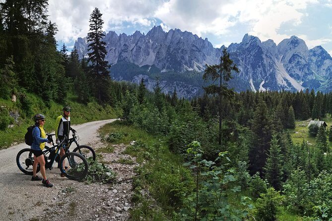 Guided e-bike tour of the alpine pastures in the Salzkammergut - The Sum Up: Who Should Consider This Tour?