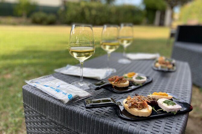 Guided E-Bike tour with food and wine tasting. - Exploring the Marche Coast and Vineyards on an E-Bike Tour