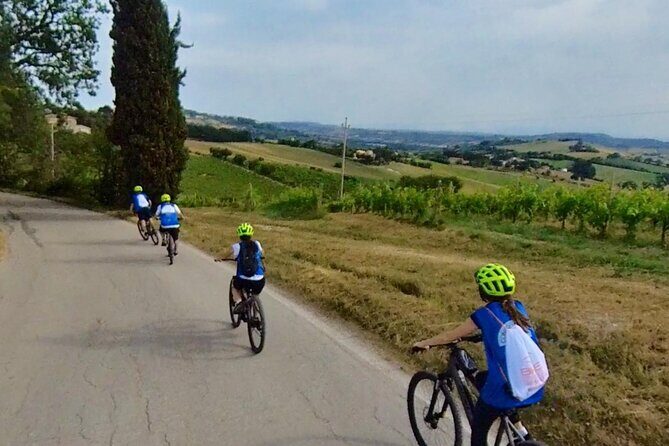 Guided E-Bike tour with food and wine tasting. - Who’s This Tour Best For?