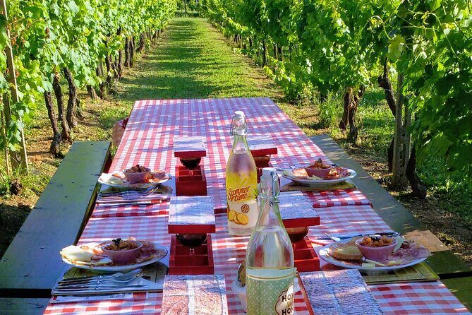 Guided E-Bike Tour with Wine Tasting from Lucca - Key Points