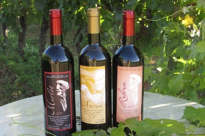 Guided E-Bike Tour with Wine Tasting from Lucca - Final Thoughts