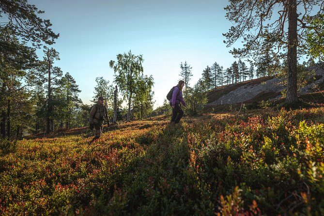 Guided easy hike in Finland deepest gorge in Pyhä-Luosto National Park - FAQ