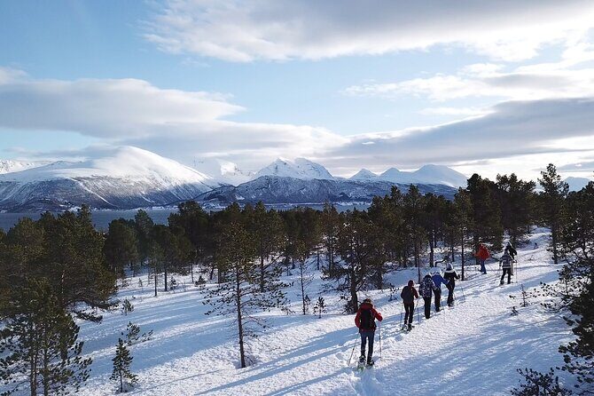 Guided easy snowshoeing with a visit to local café - Who Is This Tour Best For?