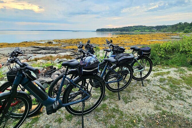 Guided Ebike Tour of Acadia National Park Carriage Roads - Final Thoughts: Is This Tour for You?