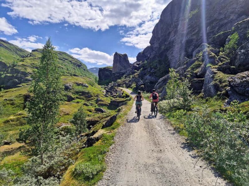 Guided, electric bicycle tour from Vatnahalsen (near Flam) - Who Should Book This Tour?