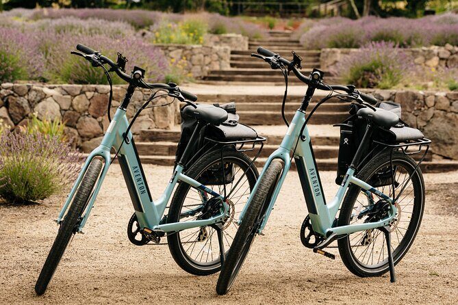 Guided Electric Bike Wine Tour Through Sonoma County - The Cost and Value
