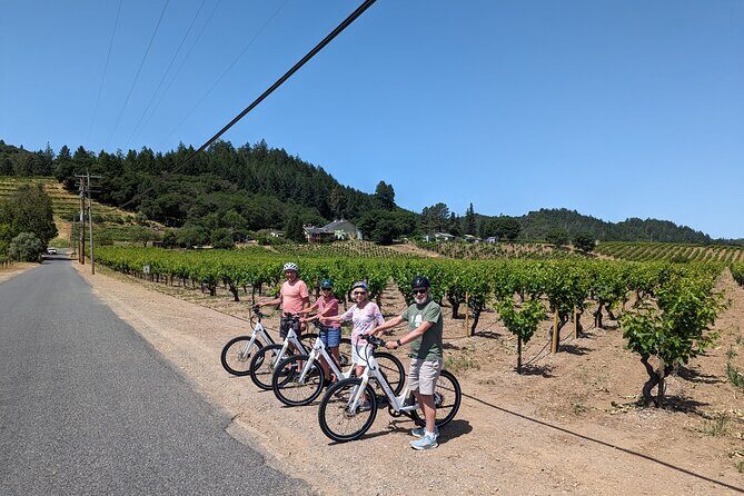 Guided Electric Bike Wine Tour Through Sonoma County - Who Is This Tour Best Suited For?