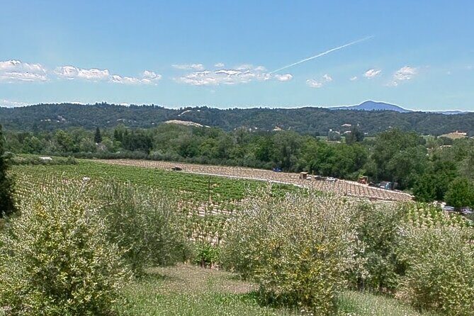 Guided Electric Bike Wine Tour Through Sonoma County - FAQ