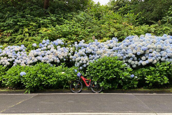 Guided Electric Mountain Bike in Sete Cidades - Experience the Beauty of Sete Cidades on an Electric Mountain Bike Tour