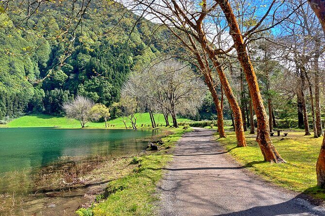 Guided Electric Mountain Bike in Sete Cidades - Price and Value