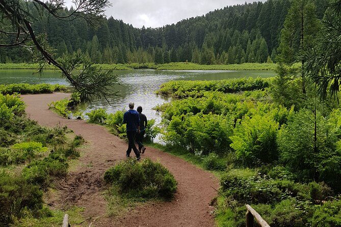 Guided Electric Mountain Bike in Sete Cidades - The Sum Up