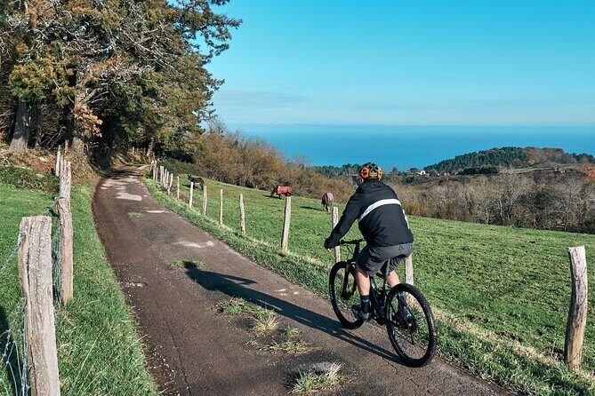 Guided Electric Mountain Bike Tour in Gipuzkoa - Key Points