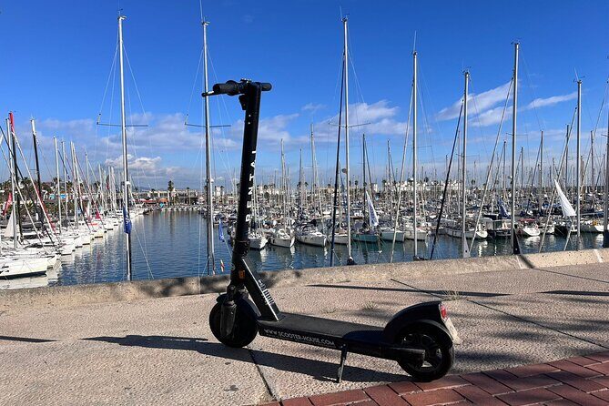 Guided Electric Scooter Tour in Barcelona - Price and Value