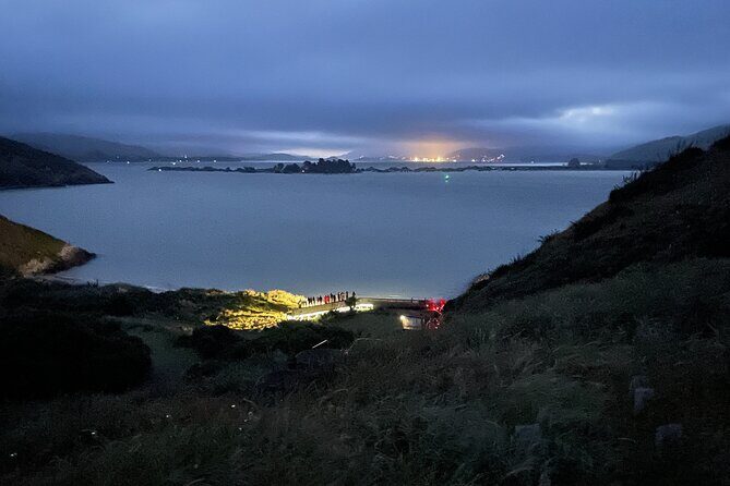 Guided Evening Penguin Viewing Otago Peninsula, Dunedin, New Zealand - Who Will Appreciate This Tour?