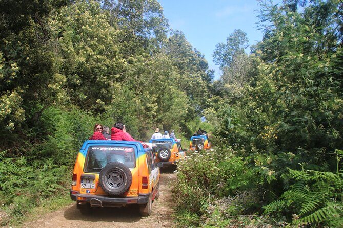 Guided Exploration of Southwest Madeira in a 4x4 - A Closer Look at the Tour Experience