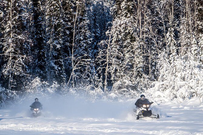 Guided Fairbanks Snowmobile Tour - Detailed Breakdown of the Experience