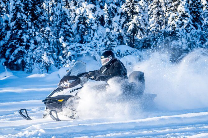 Guided Fairbanks Snowmobile Tour - The Downsides to Keep in Mind