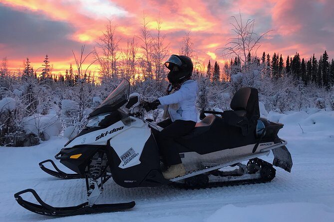 Guided Fairbanks Snowmobile Tour - Final Thoughts