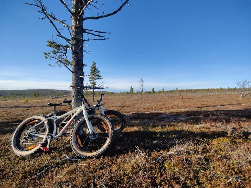 Guided Fatbike Tour in Ivalo - Key Points