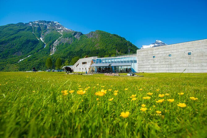 Guided Fjord & Glacier Tour - From BERGEN - What the Tour Entails