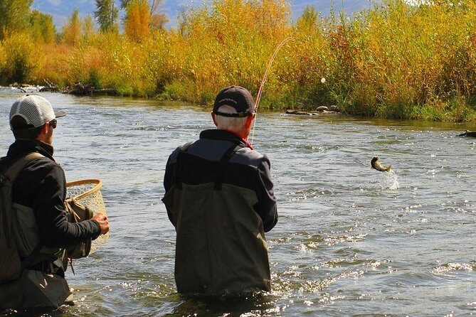 Guided Fly Fishing Experience in Park City - What Makes This Fly Fishing Tour Stand Out