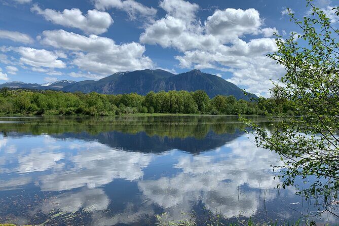 Guided forest hike to Seattle waterfalls incl. Snoqualmie Falls - User Feedback Highlights