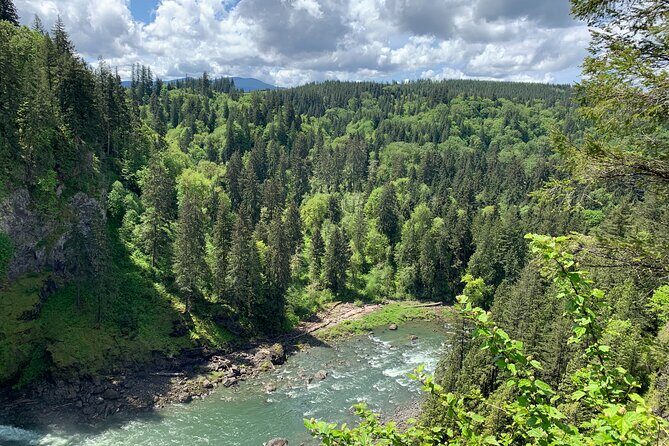 Guided forest hike to Seattle waterfalls incl. Snoqualmie Falls - The Sum Up
