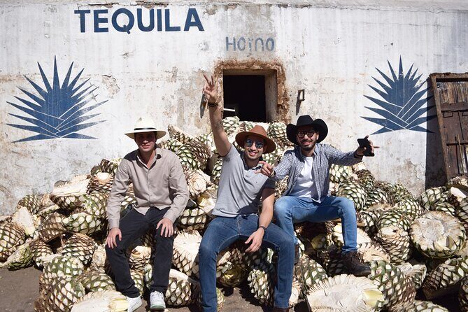 Guided Full Day Tour to Tequila and Cantaritos el Guero - The Value and Pricing