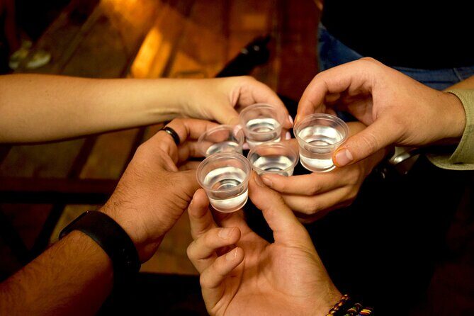 Guided Full Day Tour to Tequila and Cantaritos el Guero - Transportation and Comfort