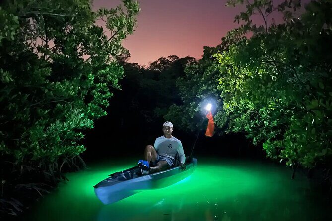 Guided Glow LED Kayak Sunset Activity in Bonita Springs - Guided Glow LED Kayak Sunset Activity in Bonita Springs: A Detailed Look