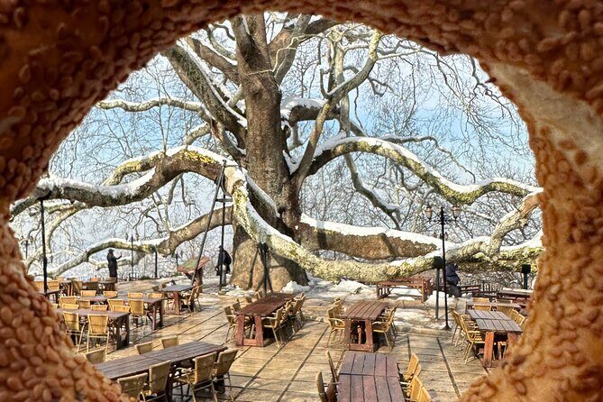 Guided Green Bursa Tour with Cable Car From Istanbul to Uludag - What’s Included and What’s Not