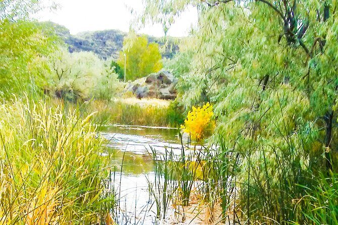 Guided Half-Day Tour to Dierkes Lake & Shoshone Falls - Frequently Asked Questions
