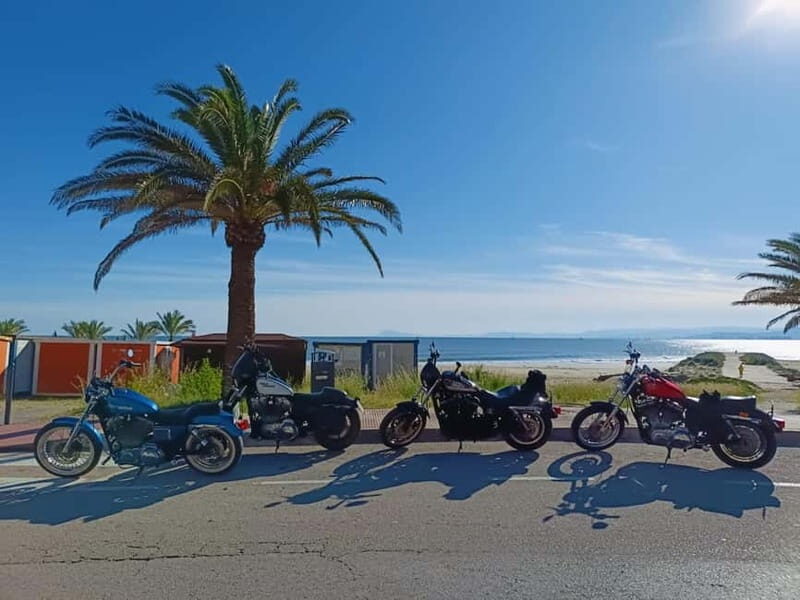 Guided Harley tours with lunch - An Overview of the Harley Tour Experience in Valencia