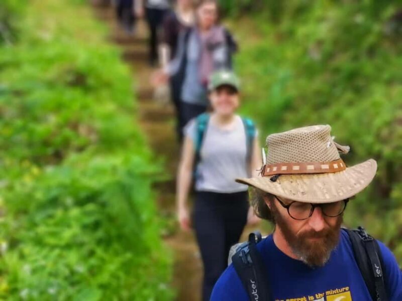 Guided Hike in Madeira - Why Choose This Guided Hike?