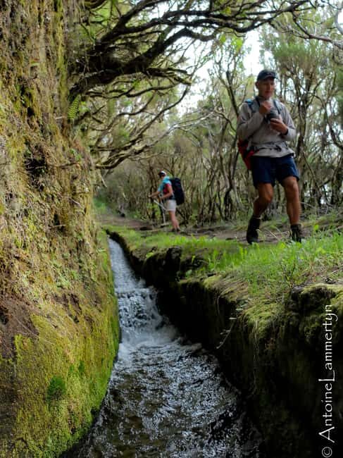 Guided Hike in Madeira - What Makes This Tour Stand Out?