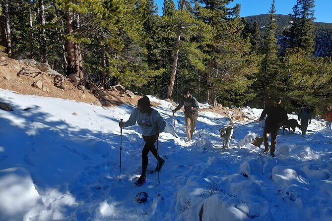 Guided hike in Rockies - Half Day Trip - Pricing and Value