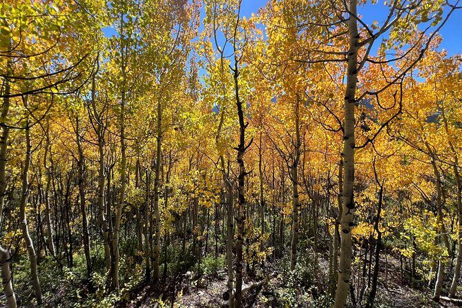 Guided Hike in Rocky Mountain National Park - The Bottom Line