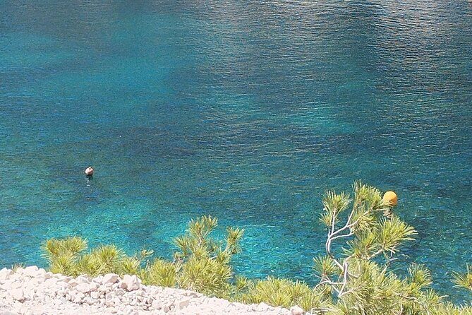 Guided hike in the Calanques National Park - Why Youll Love the Guided Hike in Calanques National Park