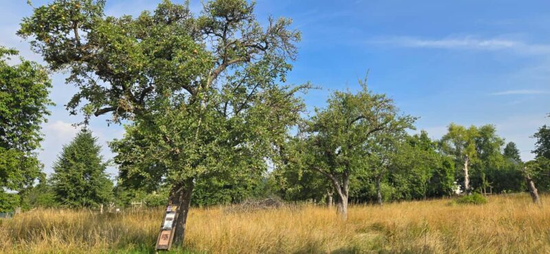 Guided hike on the "Hasenkammer" dream loop - Key Points