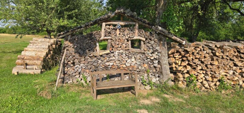 Guided hike on the "Hasenkammer" dream loop - A deeper look at the experience