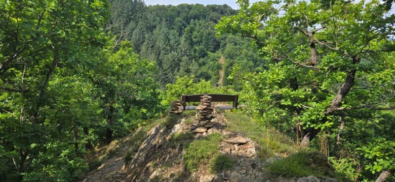 Guided hike on the "Hasenkammer" dream loop - Who is this tour perfect for?