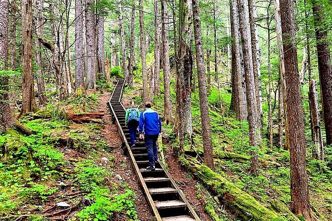 Guided Hike | TONGASS NATIONAL FOREST - What to Expect from the Tour