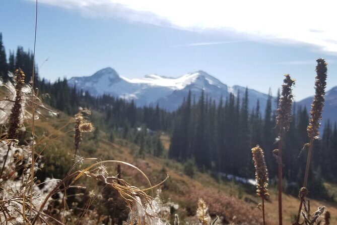 Guided Hiking and Camping Tour - Who Is This Tour For?